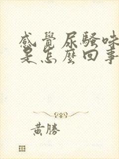 感觉尿骚味很重是怎么回事