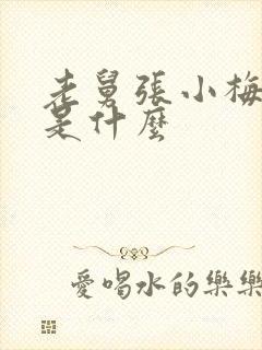 老舅张小梅结局是什么