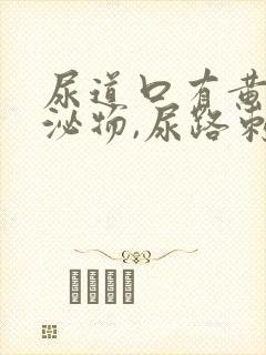 尿道口有黄色分泌物,尿路刺痛封面