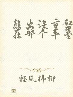 熊出没重启未来在哪个平台播放封面