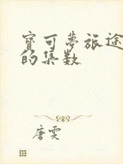 宝可梦旅途好看的集数