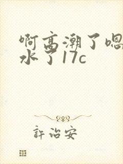 啊高潮了嗯～喷水了17c