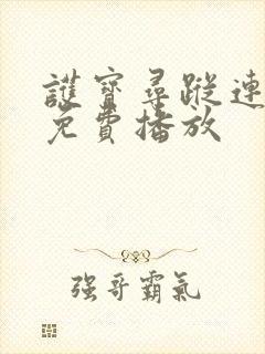 护宝寻踪连续剧免费播放