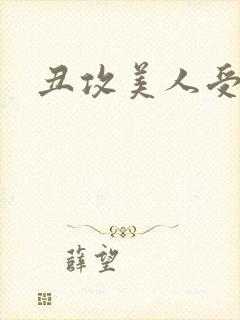 丑攻美人受封面