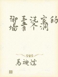 御手洗家的故事墙有个洞