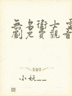 无名卫士 电视剧免费观看封面