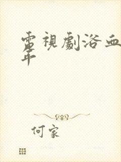 电视剧浴血十四年封面