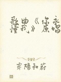 歌曲《你永远不懂我》原唱封面