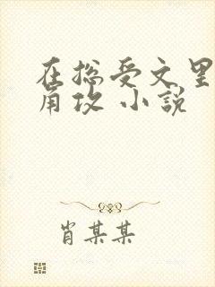 在总受文里抢主角攻 小说