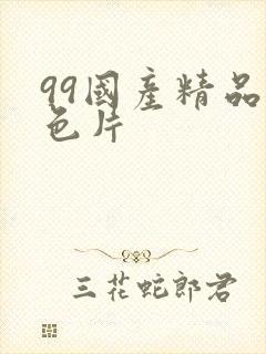 99国产精品黄色片封面