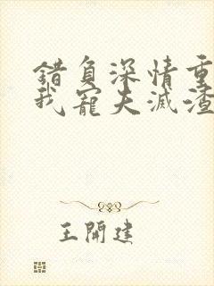 错负深情重生后我宠夫灭渣小说免费阅读