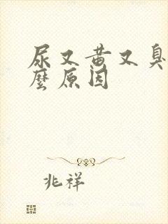 尿又黄又臭是什么原因