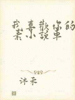 我喜欢你的信息素小说车封面