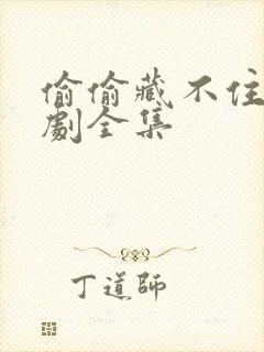 偷偷藏不住广播剧全集封面