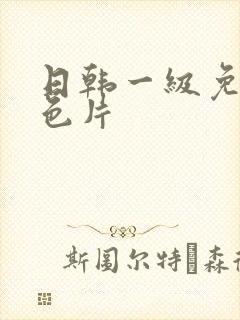 日韩一级免费黄色片