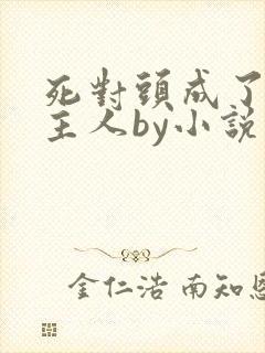 死对头成了我的主人by小说封面