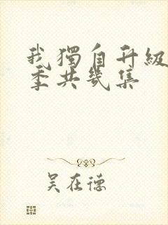 我独自升级第二季共几集