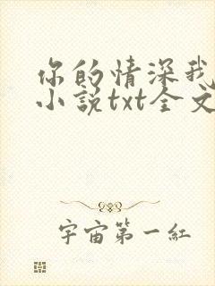 你的情深我不配小说txt全文下载