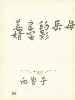 善良的岳母爱女婿电影