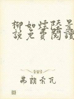 柳如烟陆晨的小说免费阅读