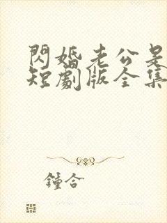 闪婚老公是总裁短剧版全集完整版在线观看