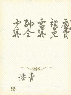 少帅电视剧45集全集免费