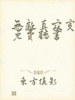 无敌真寂寞小说免费听书