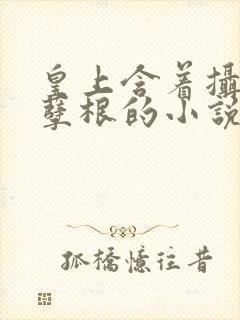 皇上含着摄政王孽根的小说