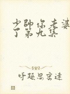 少帅你老婆又跑了第九集封面