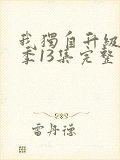 我独自升级第二季13集完整版