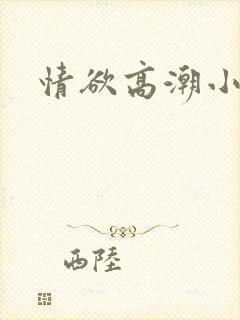 情欲高潮小说封面