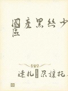 国产黑丝少妇一区封面