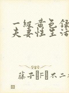 一级黄色录像.夫妻性生活