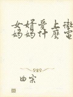 女婿爱上微微的妈妈什么电视剧封面