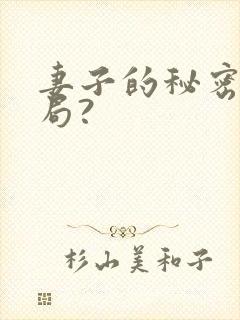 妻子的秘密大结局?