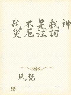 我不是戏神灭世灾厄注词封面