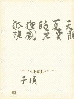 狐狸的夏天 电视剧 免费观看封面