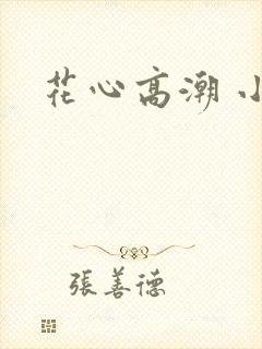 花心高潮 小说封面