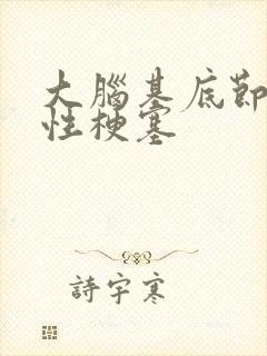 大脑基底节腔隙性梗塞