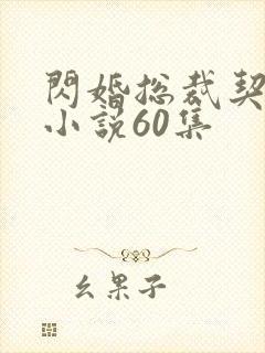 闪婚总裁契约妻小说60集