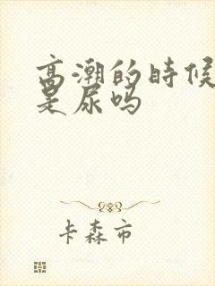 高潮的时候喷水是尿吗