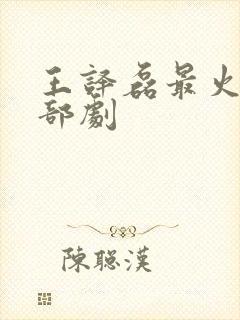 王译磊最火的三部剧