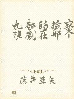 九部的检察官电视剧在哪个台播出