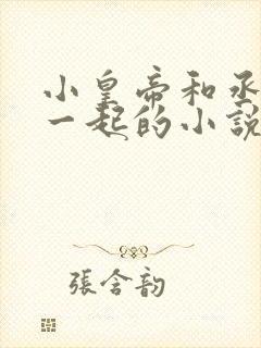 小皇帝和丞相在一起的小说