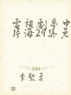 电视剧梦中的那片海29集免费观看