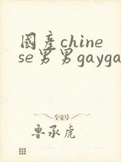 国产chinese男男gaygay网站, chinese