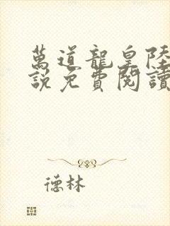 万道龙皇陆鸣小说免费阅读封面