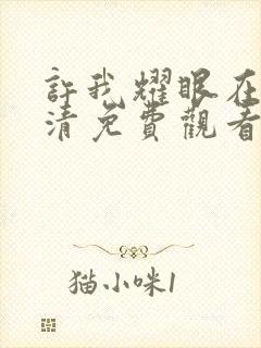 许我耀眼在线高清免费观看封面