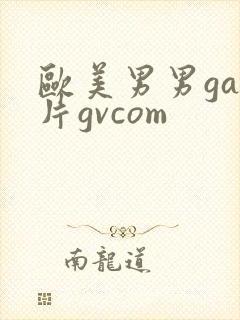 欧美男男gay片gvcom