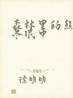 森林里的熊先生冬眠中